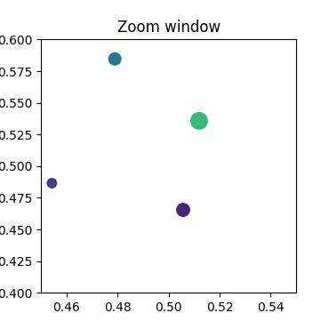 Zoom window